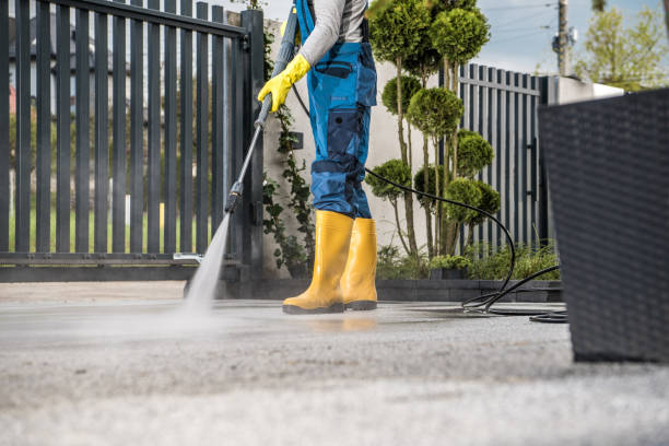 Best Gutter Cleaning  in Rutherford College, NC